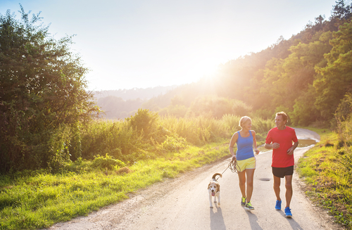 התועלות הבריאותיות של תנועה ופעילות גופנית- כל הסיבות להתחיל!